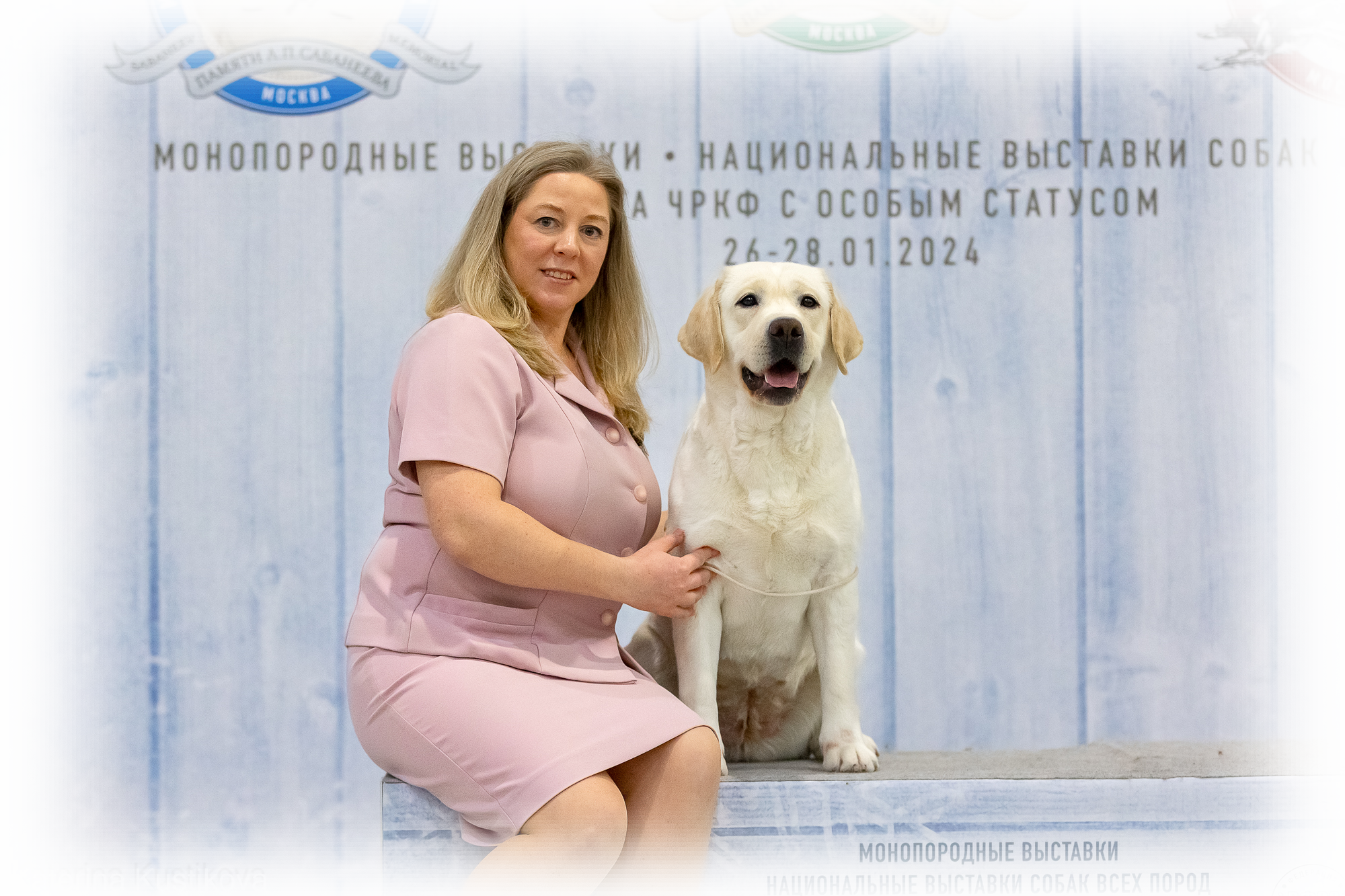 Питомник лабрадоров Хит оф Хит